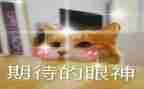 我期待的2023作文700字6篇