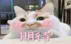 我期待的61作文6篇