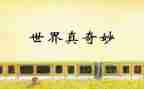 奇妙的书读后感5篇