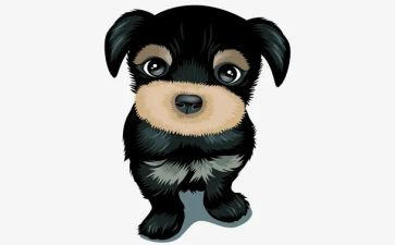 犬训练心得体会7篇