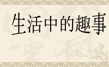 过年小趣事作文6篇