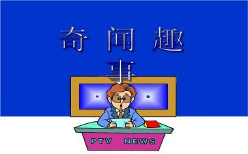 假期趣事的我作文6篇