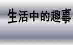 童年趣事初二作文7篇