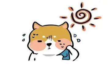 供热公司工作总结8篇