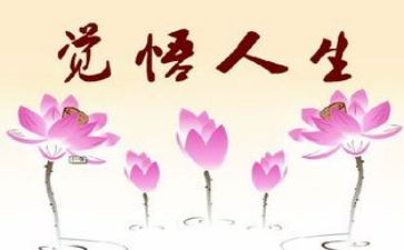 精彩人生800字作文6篇