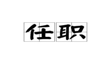 任职以来个人工作总结8篇