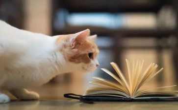 林清玄散文的读后感5篇