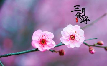 三月学雷锋月活动总结7篇