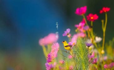 三月份个人总结6篇