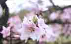 三月的节日演讲稿5篇