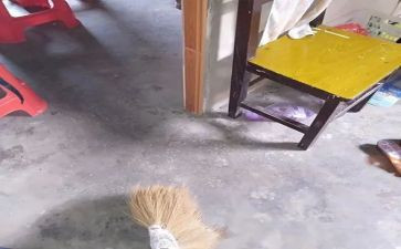 家庭大扫除的作文5篇