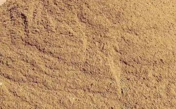 天净沙秋思的教案教案6篇