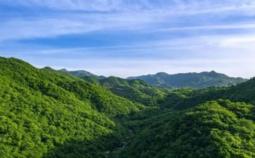 父爱如山的主题演讲稿5篇