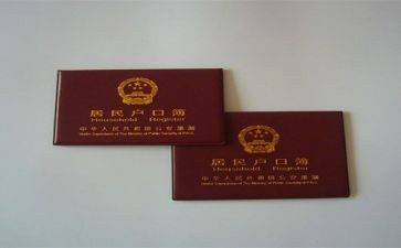 出生上户申请书8篇