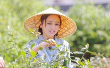 美与生活作文800字优质6篇