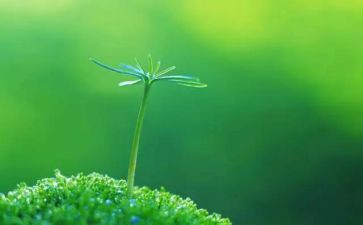 生命感悟类作文优秀8篇