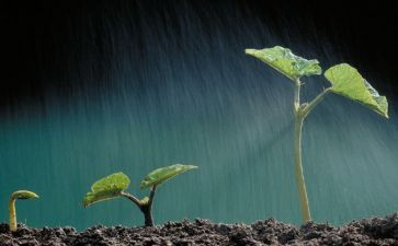 《生命的壮歌》教学反思5篇