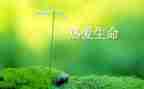 中华文化的生命力演讲稿7篇