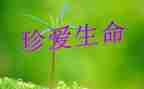 生命与教育心得体会7篇