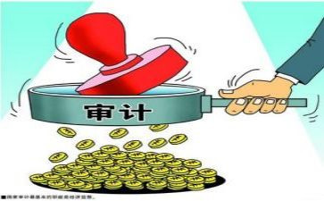 跟踪审计年终工作总结7篇