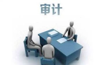 实习审计个人总结5篇