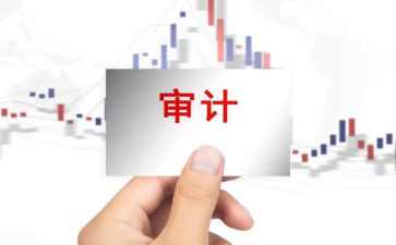 市审计局半年度工作总结5篇