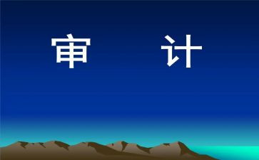 2024年审计半年工作总结6篇