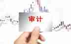 市审计局半年度工作总结5篇