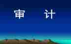 2024年审计半年工作总结6篇