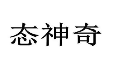 读了神奇校车的读后感5篇