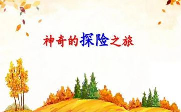 神奇的探险之旅作文500字5篇