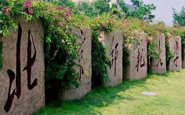 七年级上册的数学教学计划华师大版7篇