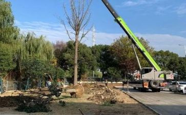 个人施工工作总结通用5篇