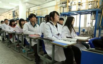 实训报告的实训心得5篇