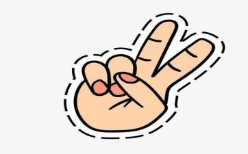 教学能手个人教学工作总结6篇