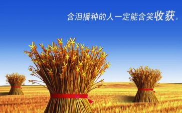会计专业的收获和心得体会6篇