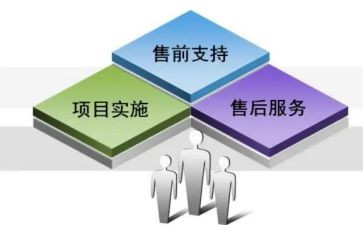 售前工作总结参考6篇