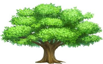 312植树节演讲稿优秀6篇