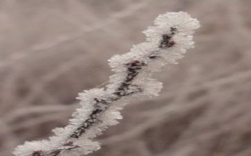 露和霜科学教案优秀8篇