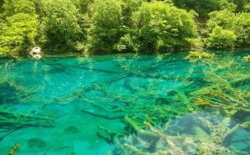 大班《水》教学反思最新6篇