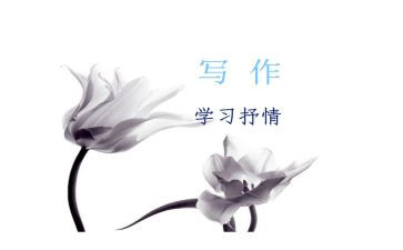 春的抒情作文5篇