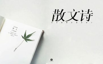 借阳光抒情的作文7篇