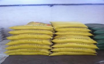 销售饲料工作计划范文6篇