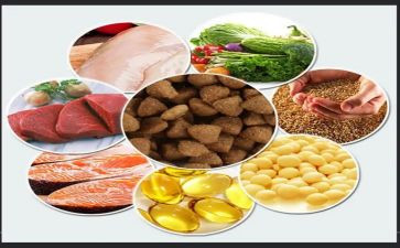 饲料员个人总结5篇