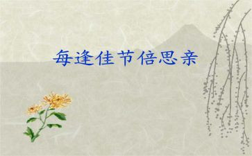 每逢佳节倍思亲作文7篇