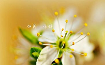 四月思想汇报5篇