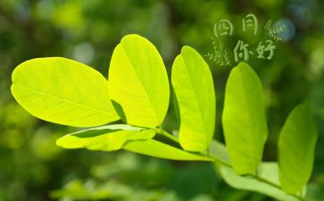 大班四月计划7篇