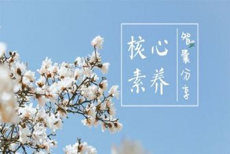 教师素养心得体会精选8篇