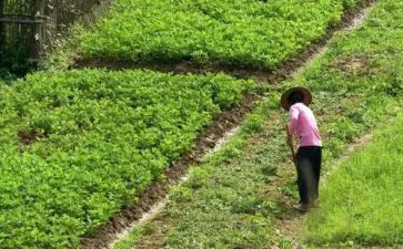 田间劳作的心得5篇