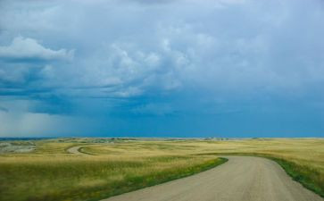 飞在天空中作文8篇